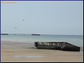 [Click to enlarge]